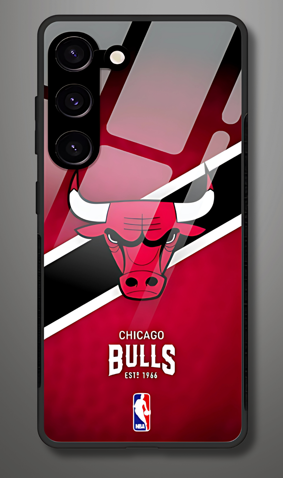Chicago Bulls S23 Glass Case